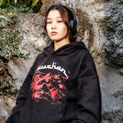 Holy Mountain Hoodie